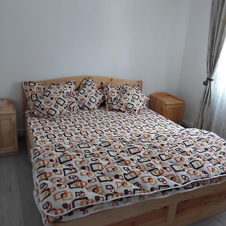 Apartament Rusu ネホイウ エクステリア 写真