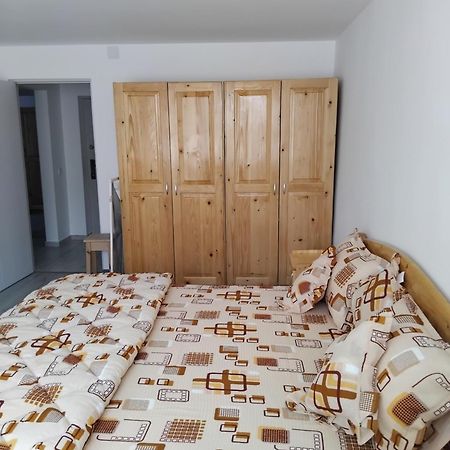 Apartament Rusu ネホイウ エクステリア 写真
