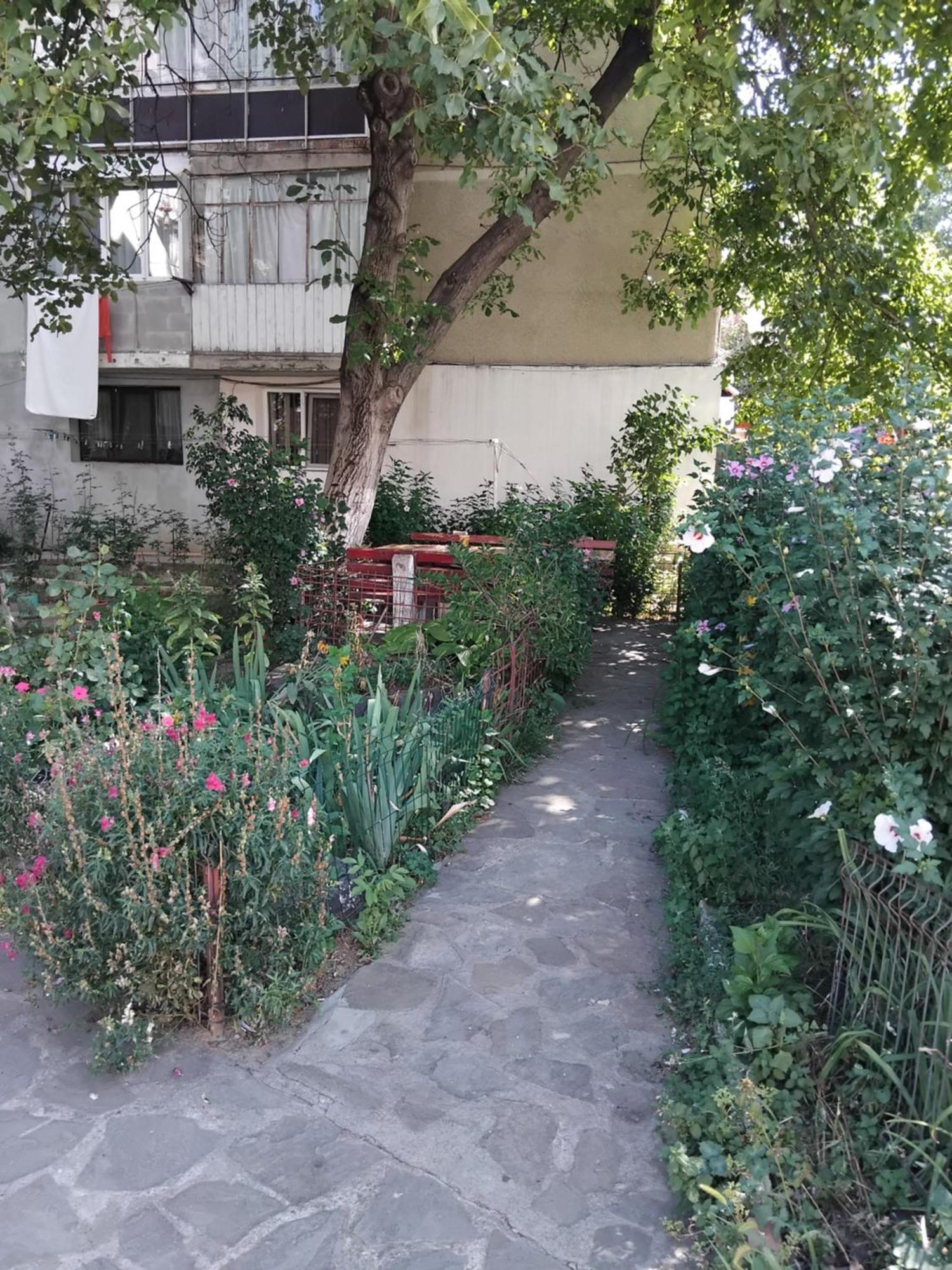 Apartament Rusu ネホイウ エクステリア 写真